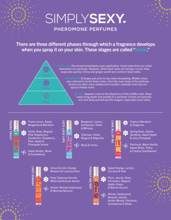 Fragrance Notes Infographic